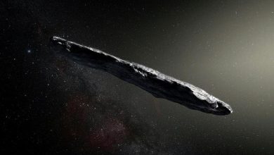 Alienigena