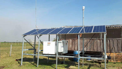 Energisa irá levar energia solar para o Pantanal