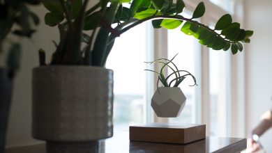 Vaso de planta que levita pertence a empresa sueca