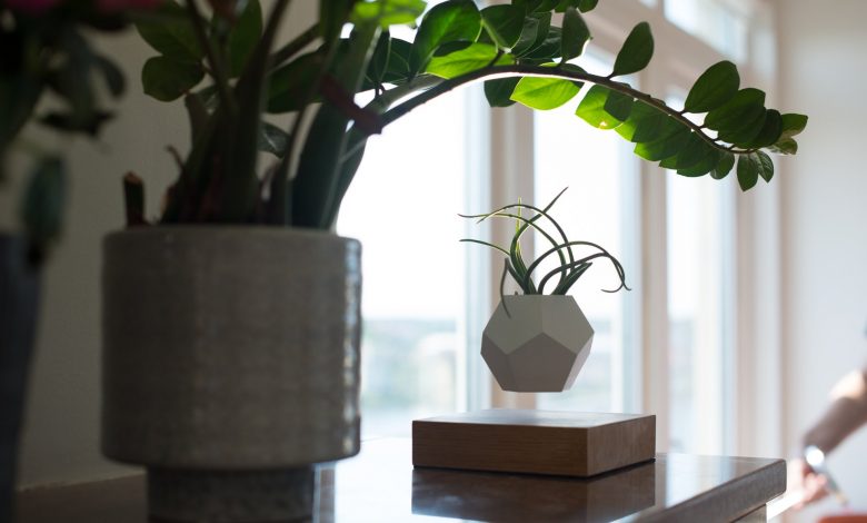 Vaso de planta que levita pertence a empresa sueca