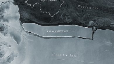 Maior iceberg do mundo se desprendeu da Antártida