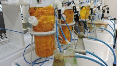 USP criou biobateria que gera eletricidade a partir de esgoto e efluentes