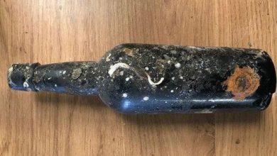Garrafas de cerveja encontradas em naufrágio de 120 anos são tesouro para cervejeiros