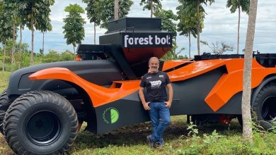 Nova máquina brasileira é capaz de plantar mais de 4 mil árvores por hora