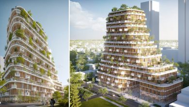 Novo edifício ecológico será construído com bambu e madeira no Canadá