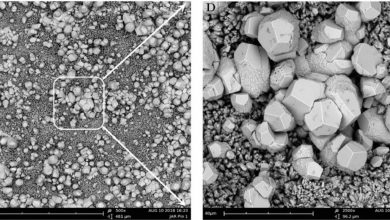 Cientistas desenvolvem concreto capaz de consertar suas rachaduras de forma autônoma
