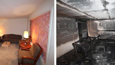 Entenda tudo sobre a Inteligência Artificial desenvolvida para ajudar no combate de incêndios