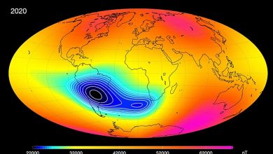 Cientistas avançam em estudo para entender anomalia magnética no Brasil
