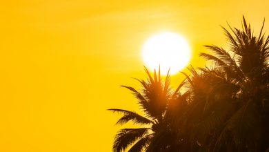Complexo paradoxo do Sol que intrigava cientistas foi resolvido depois de 20 anos