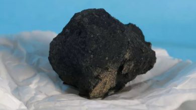 Meteorito de 4,6 bilhões de anos poderá ajudar cientistas a entenderem a origem da vida