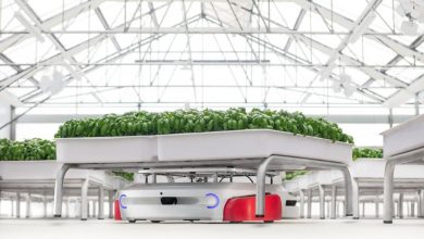 Robôs agrícolas capazes de economizar em 90% o uso de água nas plantações