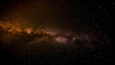 Cientistas alertam possibilidade de outros vírus existirem pelo universo