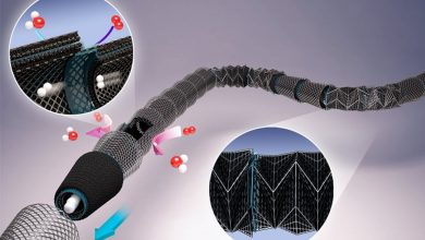 Nova célula de energia revolucionária transforma diversos combustíveis em energia elétrica