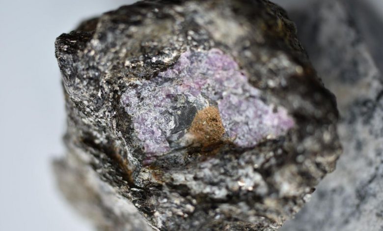Sinais de vida são descobertos em rubi de 2,5 bilhões de anos