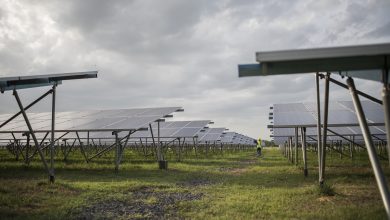 Empresa investe R$29 bi para construir maior usina de hidrogênio verde do mundo no Brasil
