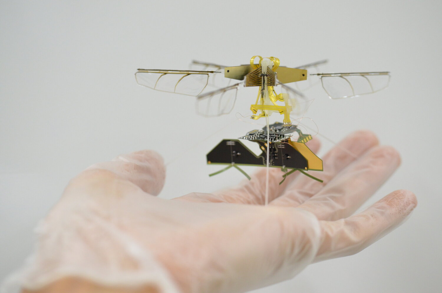 Toyota anuncia drone inseto com menos de 2 gramas e com transmissão de energia sem fio