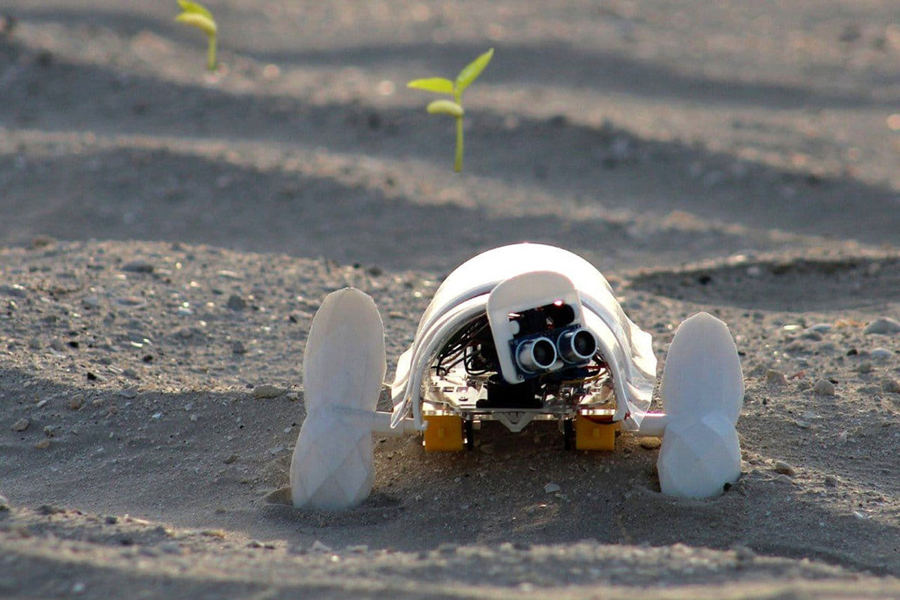 Robô autônomo movido a energia solar está percorrendo o deserto plantando sementes