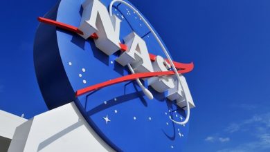 NASA alerta perigos de interferência dos satélites da Starlink na detecção de asteroides