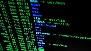 Rússia divulgou IPs do Brasil atacaram a nação por DDoS - Pixabay