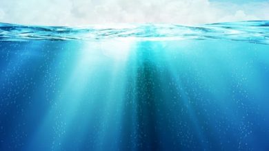 Açúcar dentro dos oceanos? Confira a descoberta dos cientistas