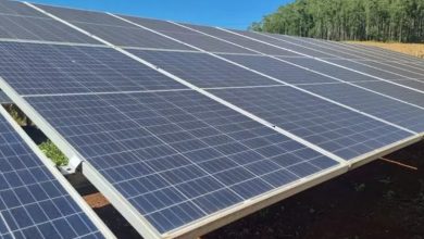 Energia solar: tecnologia pode reduzir até 95% da sua conta de energia