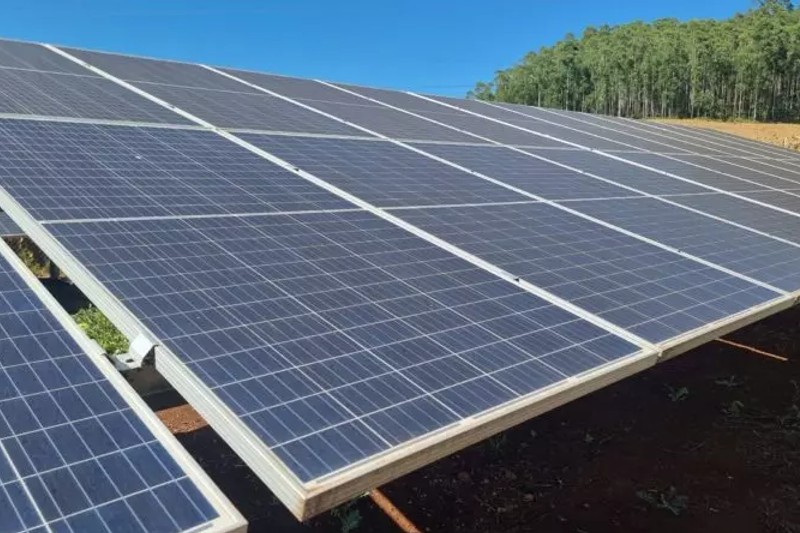 Energia solar: tecnologia pode reduzir até 95% da sua conta de energia