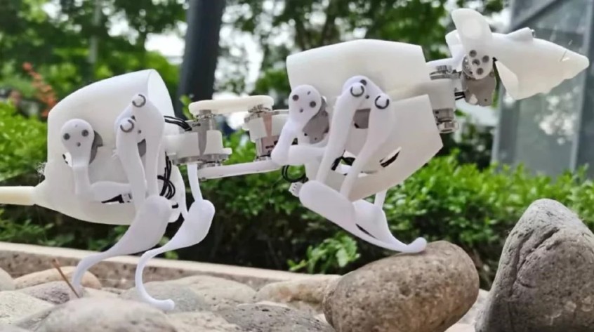 Chineses criam rato-robô capaz de procurar sobreviventes em locais onde ocorreram desastres
