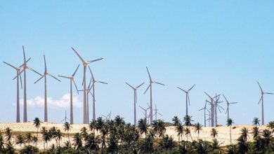 Energia eólica fara parte de 100% das operações da Ambev: confira