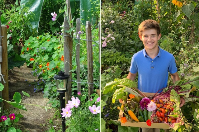 Oásis de alimentos orgânicos foi criado por um jovem: veja os detalhes