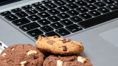 Cookies online: muitos estão aceitando sem ao menos saber o que são