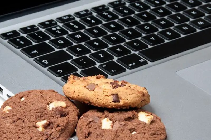 Cookies online: muitos estão aceitando sem ao menos saber o que são