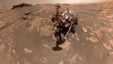 Lago em Marte: Confira porque Rover contrariou a expectativa da NASA
