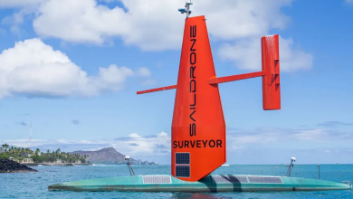 Drones autônomos à vela são usados para proteger a vida marinha