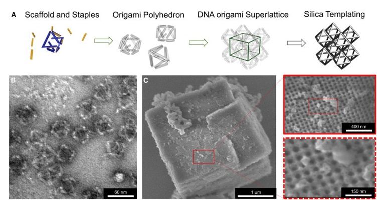 As fitas de DNA guiam os cristais de vidro, gerando uma rede cristalina muito leve e muito resistente.