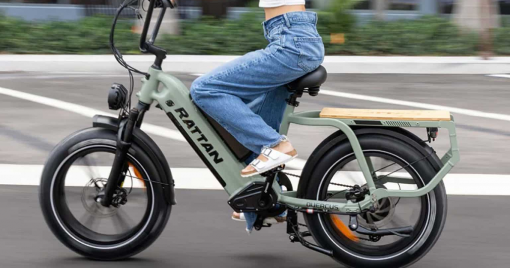 bicicleta elétrica com duas baterias aguenta mais de 200 kg