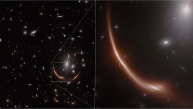 James Webb identifica supernova que ajudará a calcular o tamanho do Universo