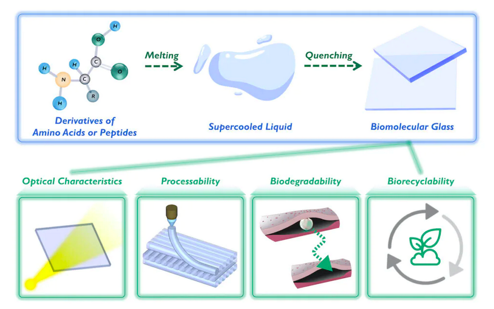 Diagrama esquemático da construção do vidro biomolecular e suas propriedades únicas. 