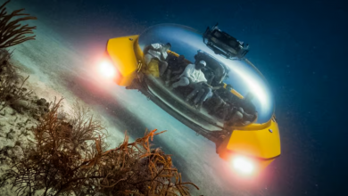 Novo submersível de luxo oferece viagem subaquática de primeira classe