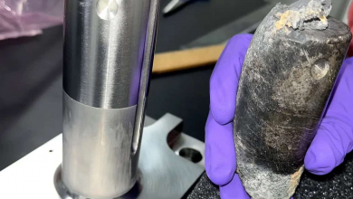 Pedaço de estação espacial cai em casa na Flórida