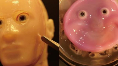 Japão desenvolve pele realista para robôs humanoides