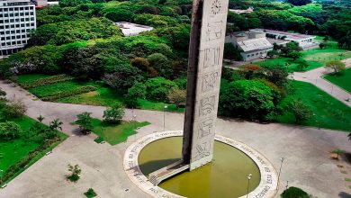 usp 47 cursos online gratuitos