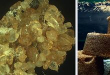 Cientistas transformam areia do deserto em solo que retém 28 vezes mais água