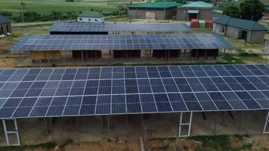 Empresa brasileira leva energia solar a fazenda e corta 3.800 litros de diesel por mês