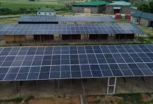 Empresa brasileira leva energia solar a fazenda e corta 3.800 litros de diesel por mês