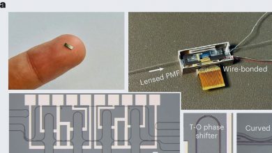 Cientistas de Cambridge criam sensor óptico de R$ 50 que mede glicose sem agulhas